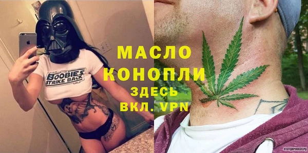дмт Новозыбков