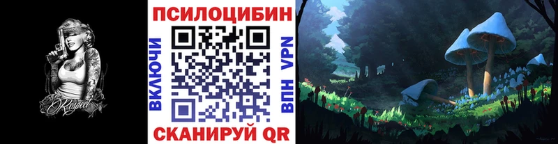 ОМГ ОМГ онион купить наркотик Нестеровская Галлюциногенные грибы прущие грибы